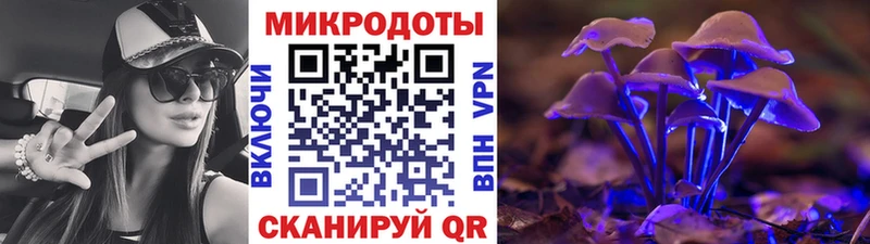 Галлюциногенные грибы Psilocybe OMG сайт Николаевск
